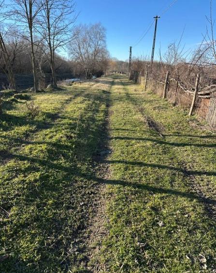 Teren- intravilan in DELTA- loc BALTENII DE JOS - 15