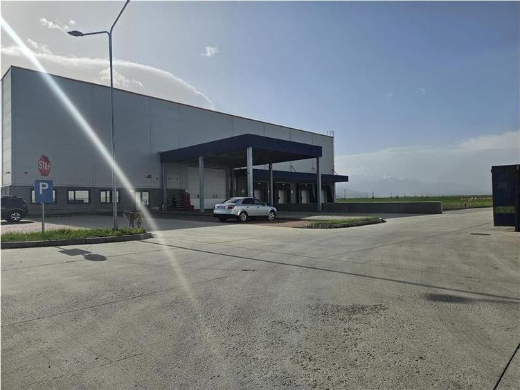 Spatii Industriale - 10000 mp - Logistica - Depozitare - Productie - 4