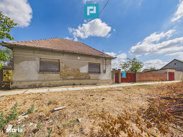 Casa cu potential si teren 1.440 mp - Santana - 2