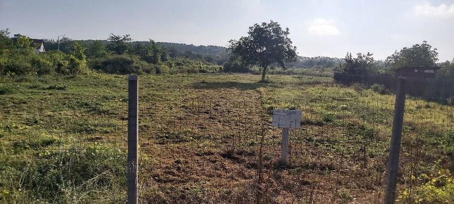 Teren intravilan Carcea Pelendava - 1