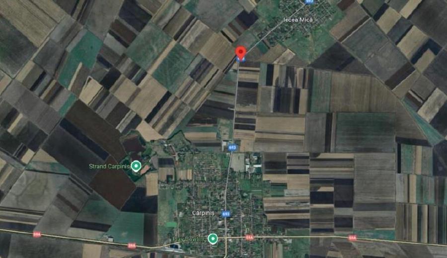 Cota de 5/24 din teren extravilan Carpinis, judetul Timis; - 2