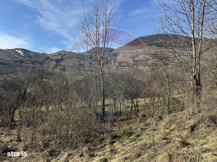 Casa din piatra la poalele Bedeleului Izvoarele, Alba - 14