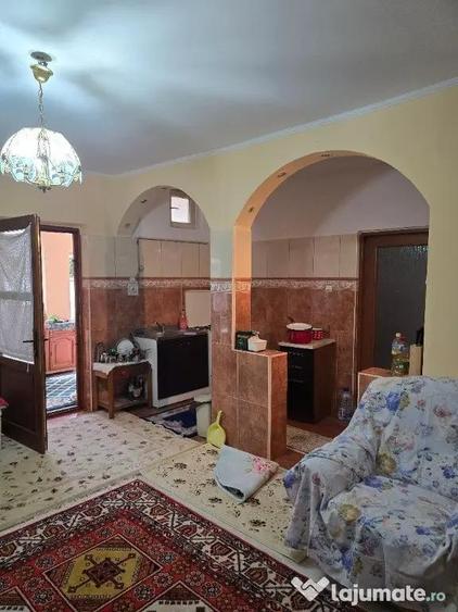 Casa plus anexa parter, Tamaseu central, gaz, sosea , ter 3040 mp - 11