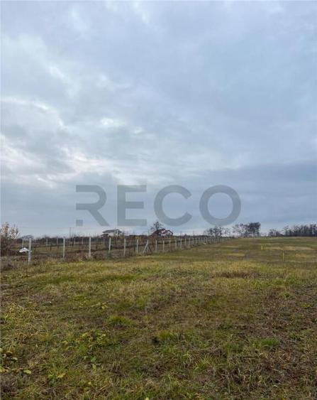 RECO Teren intravilan cu PUZ, la 4 minute de oras ,720 mp,Pa - 5