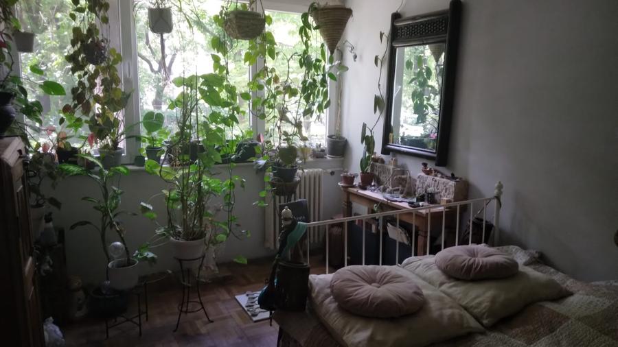 Muncii METROU Basarabia,Parcul National PARTER/10,Amenajat,PRET DE GARSONIERA - 5