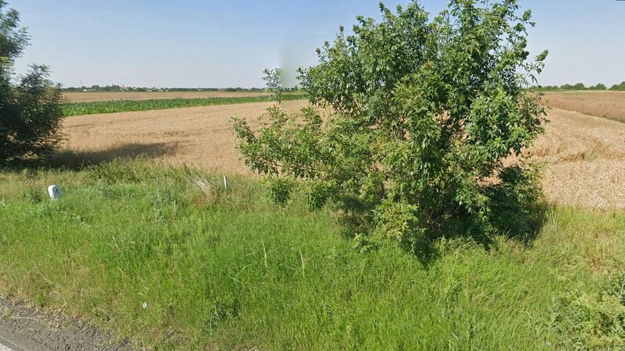 Extravilan, 17500 mp, Sag, Timis, DN69 - 4