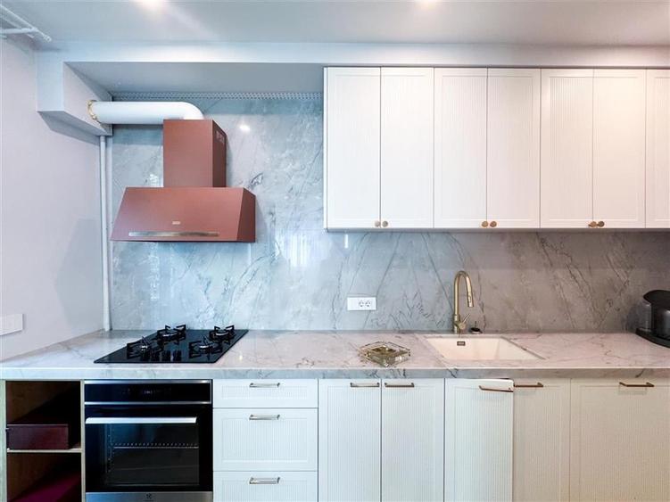 Apartament 3 camere de inchiriat Gradina Icoanei - 10