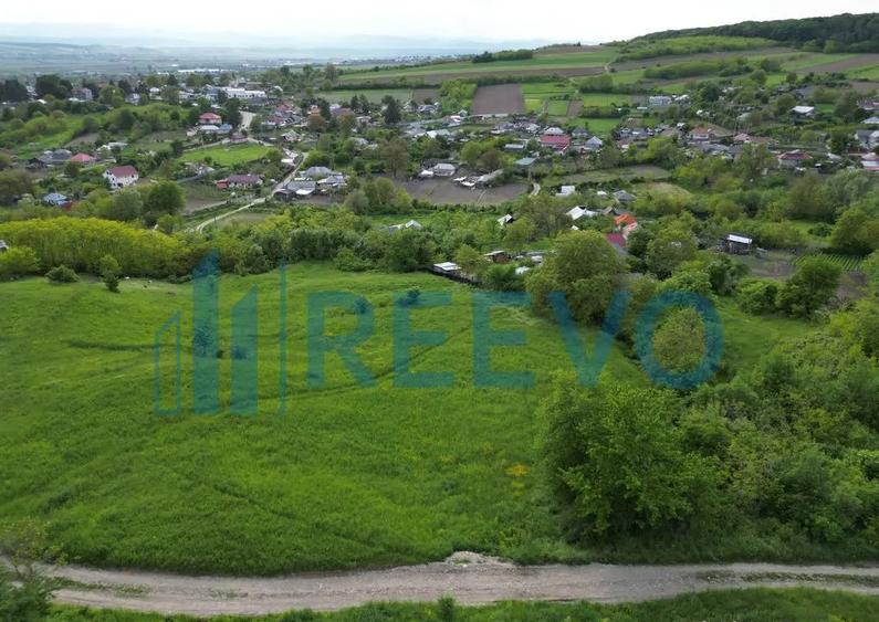 Teren de vanzare, Com. Racova, Str. Bradului, Bacau - 7