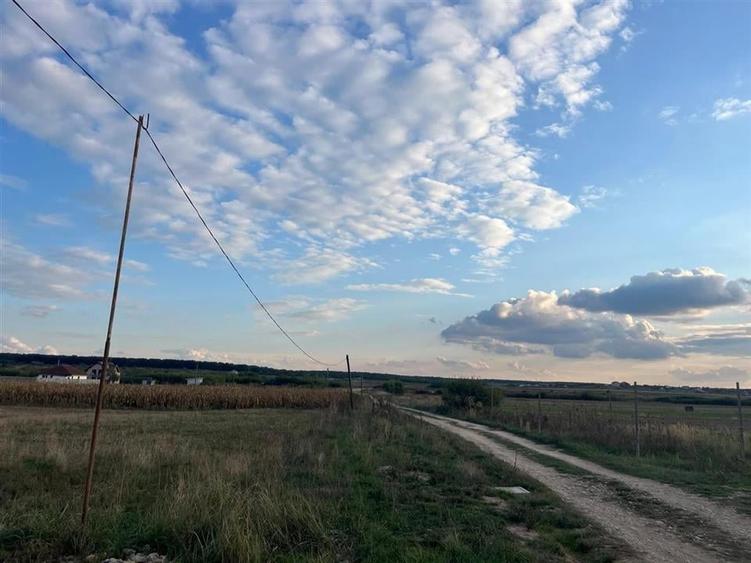 RECO Teren intravilan 5048 mp -Str. Apatelui-zona Grigorescu - 3