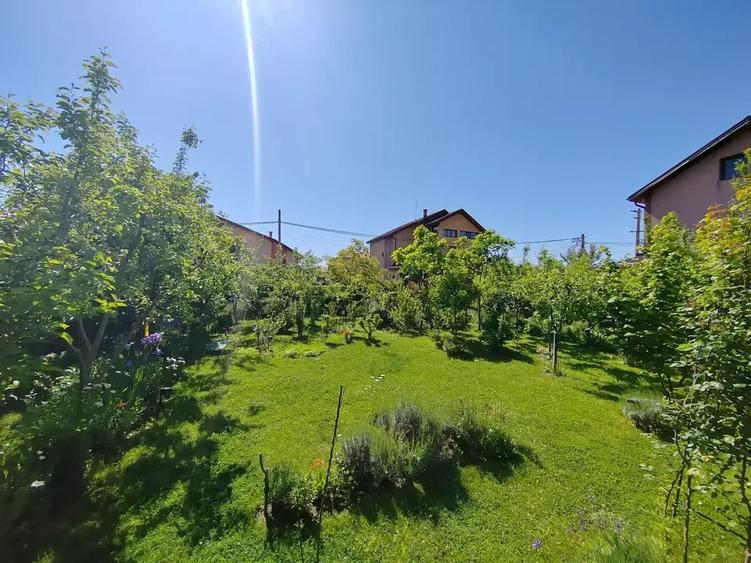 Casa Deosebita Corbeanca I Laguna Albastra - 17