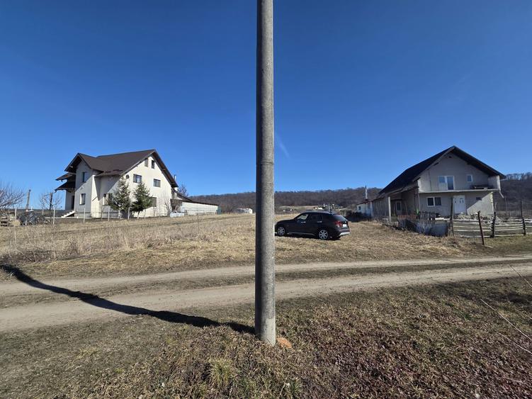 Teren 27 ari parcelabil Mitocul Dragomirnei ideal pentru case - 6