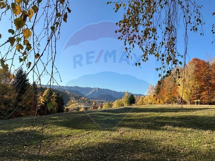 Oportunitate de investiție ! Teren de vis în Pestera - 125.370 mp - 6