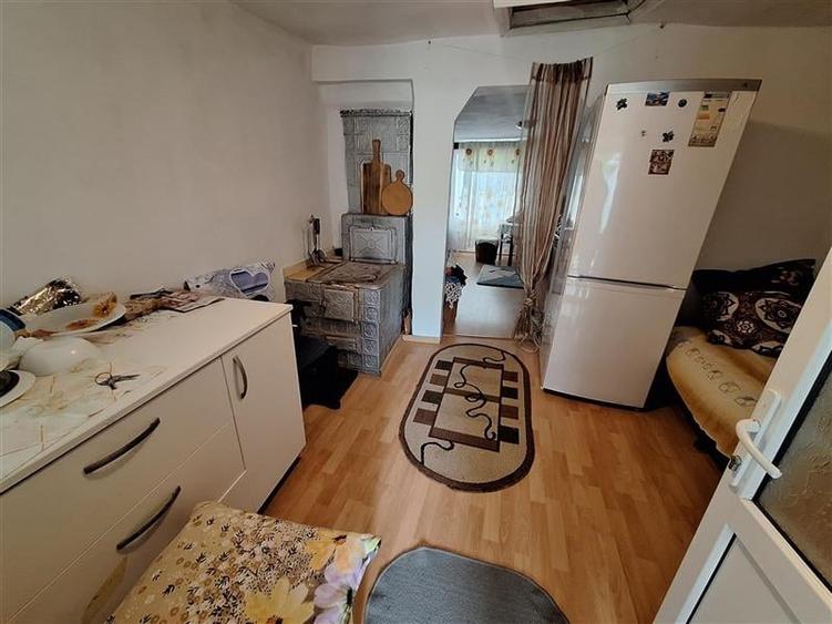 Proprietate ideala pentru familie extinsa sau investitie  Serbanesti, Bacau - 6