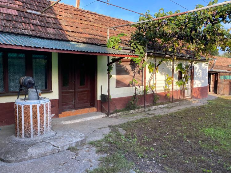 Casa vanzare Vadul-Crisului (locatie superba/oportunitate rara) - 2