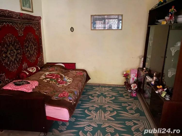 Casa Dalboset, Caras-Severin - 9