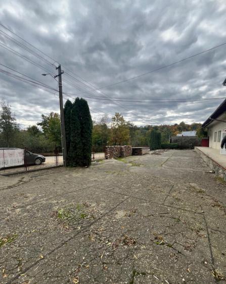 Spatiu comercial multifunctional de inchiriat, Cacica - 15