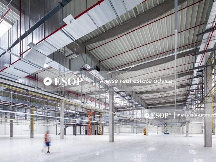 CTPark Arad II, hale in parc industrial, 0% comision, 3.000-21.000mp - 2