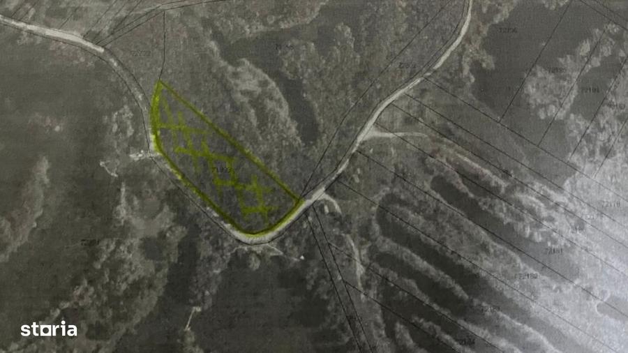 Teren extravilan padure 6000 euro vizavi Insula Crabilor - 3