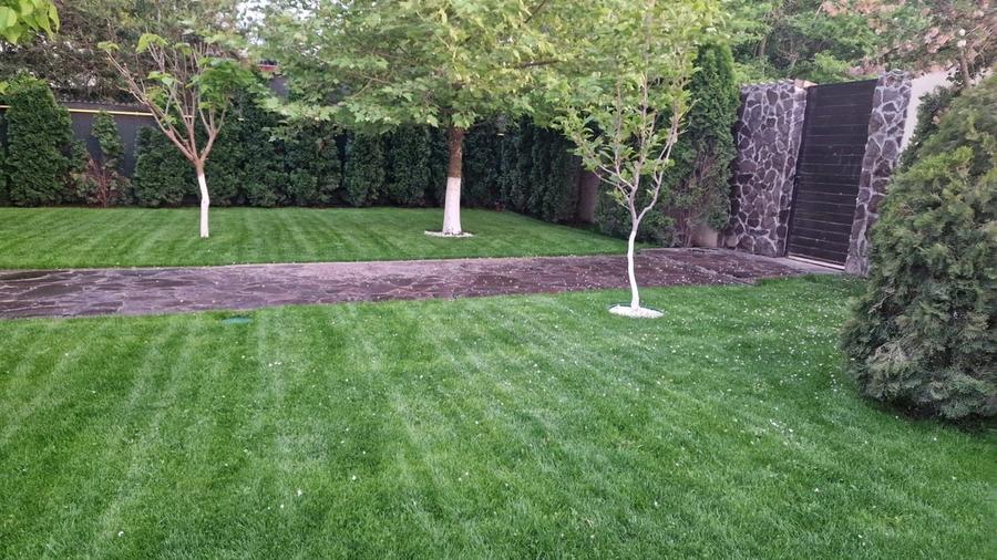 Fundulea, vila 185 mp cu teren 4000 mp, potential dezvoltare imobiliara - 2