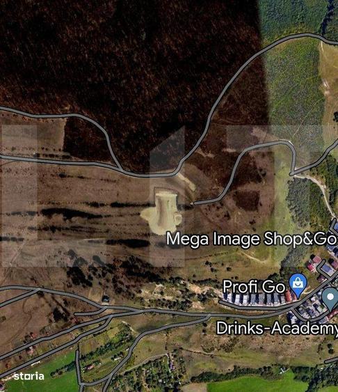 Teren pentru investitie cu suprafata de 7500mp,in zona padurii Hoia - 1