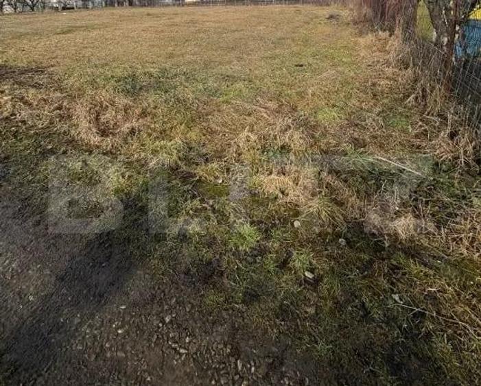 Teren intravilan 1.227 mp | Deschidere 40 ml | ?cheia - 1