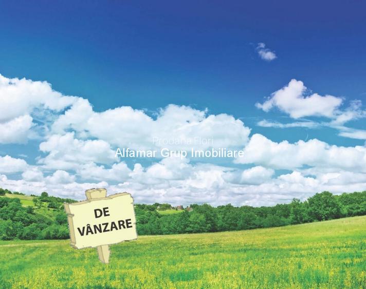 Vanzare teren 10.000mp Cornetu- Mihailesti