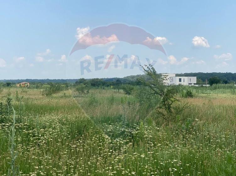 DE VANZARE Teren intravilan 600mp Drumul Piscul Mosului SISESTI - 10