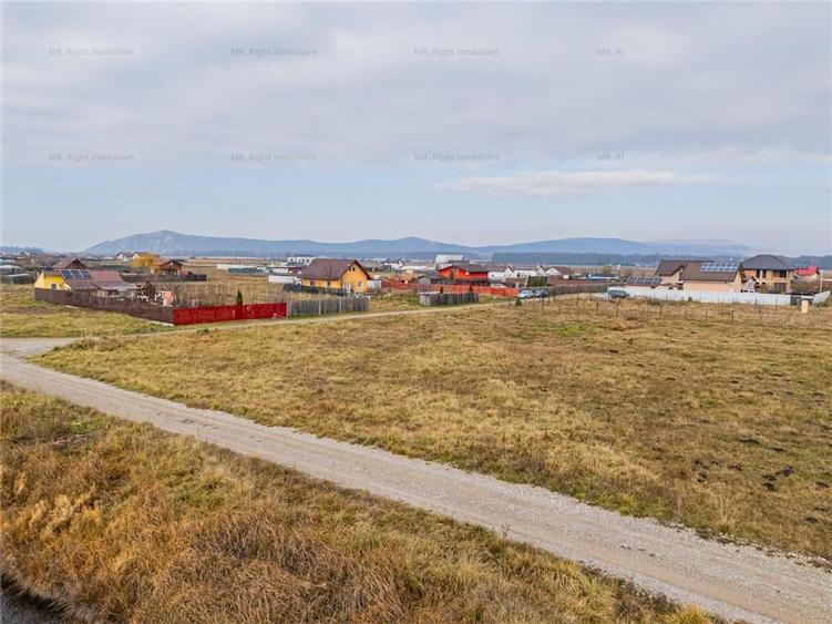 Teren 1000 mp Harman - 7