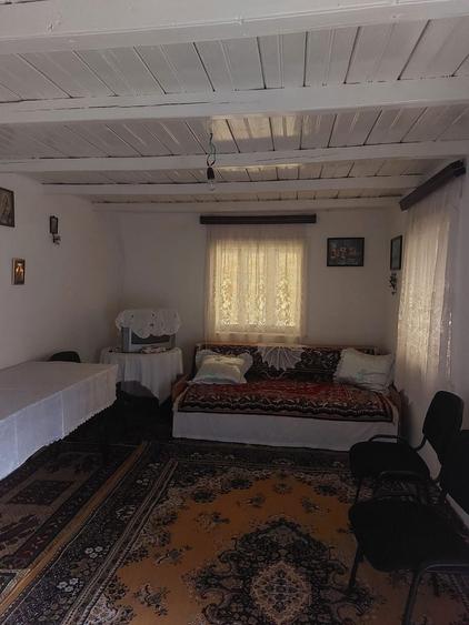 Vanzare casa Sat Lunca, C.A Rosetti - 2