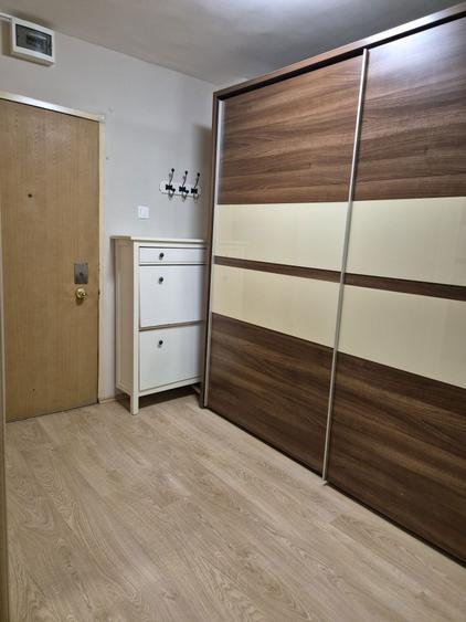 Garsoniera de inchiriat , Lacul Tei , Proprietar - 4