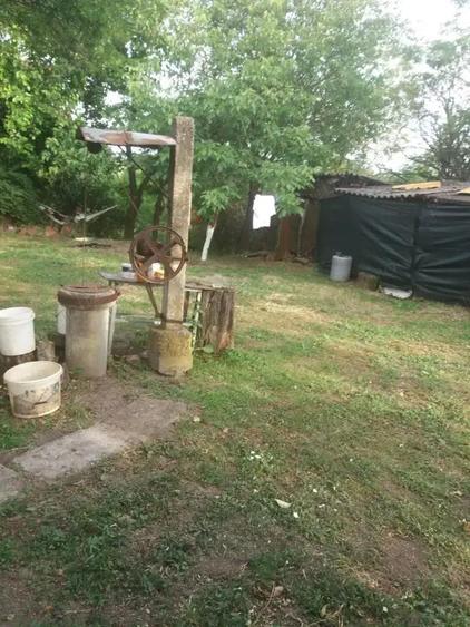 Casa batraneasca teren de vanzare Plataresti 20 km de Bucuresti - 4