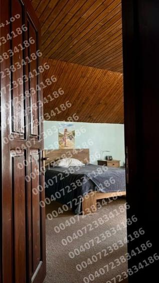 CHIRIE / KIADO / RENT - CASA 5 CAMERE + CURTE 1500 MP,/FAMILIE ZONA REZIDENIALA - 15