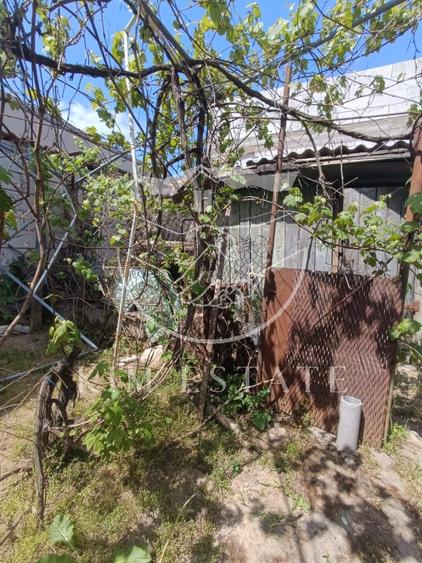 Casa 4 camere Coiciu - 17