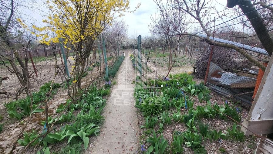 Casa individuala cu teren generos de 898 mp,Sag zona Centrala - 20