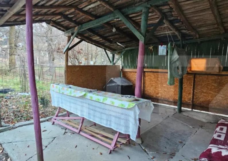 Casa rustica (62mp) in sat Magura cu 1000mp teren si anexe! - 11