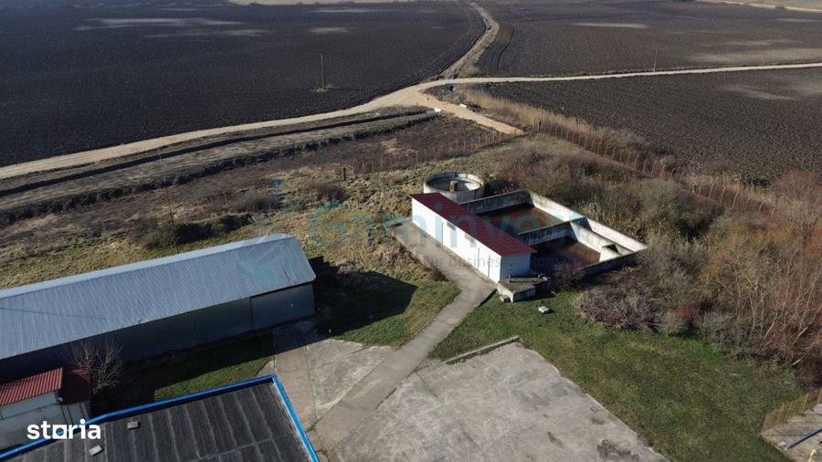 Hala Industriala 6500 mp,Madaras la 30 km de Oradea,Gaminvest,v4077 - 7