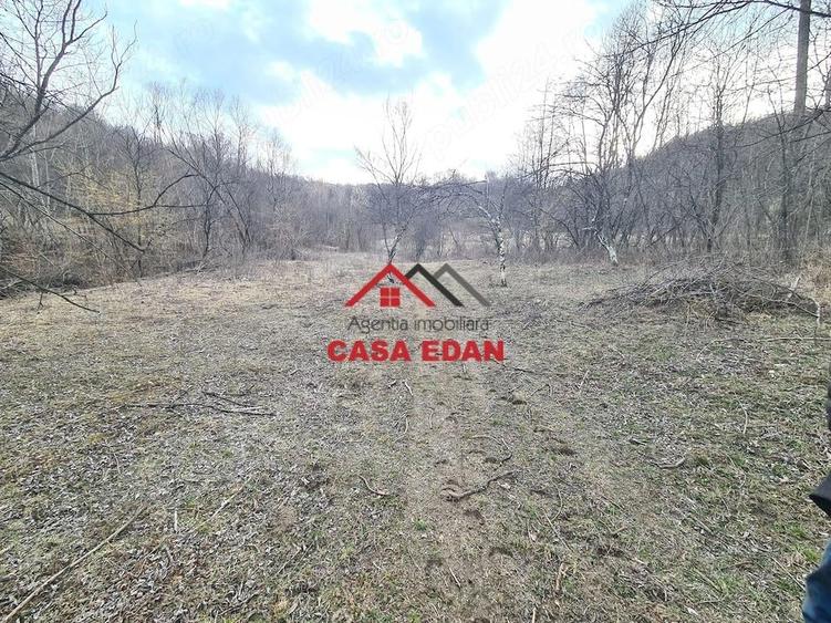 Teren extravilan in Provita--3448mp-12.000e - 7