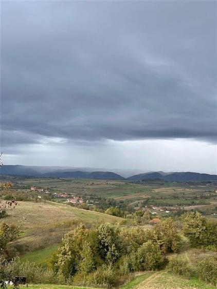 TEREN | 9341 MP | BALNACA GROSI | BIHOR - 8