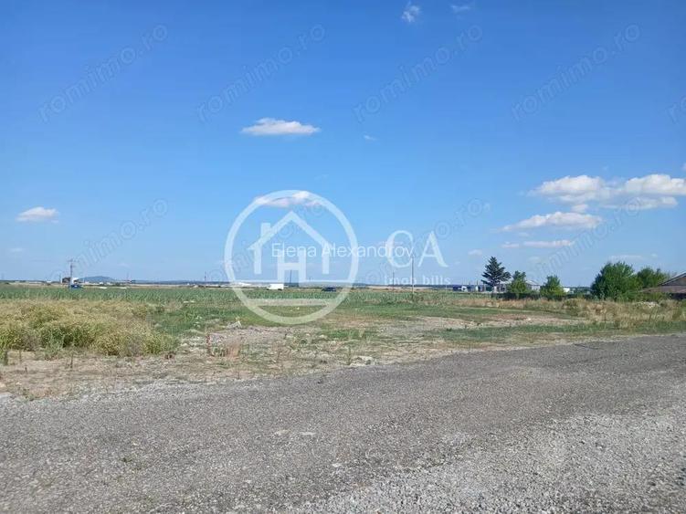 Teren intravilan de inchiriat in Nojorid, Bihor Teren intravilan de inchiriat in Nojorid, Bihor