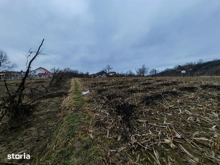 Teren de 3000 mp, în Măgura