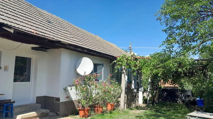 Casă cu Teren 4926 Mp în Schela
