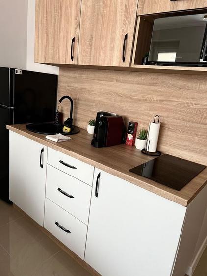 Apartament cu 2 camere semidecomandat în Nufărul