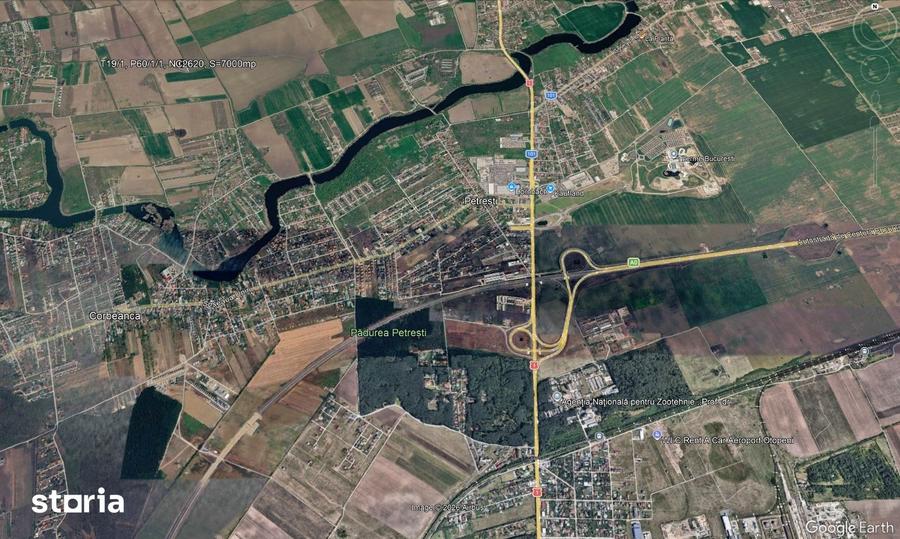 Teren de 13124 mp, în Corbeanca