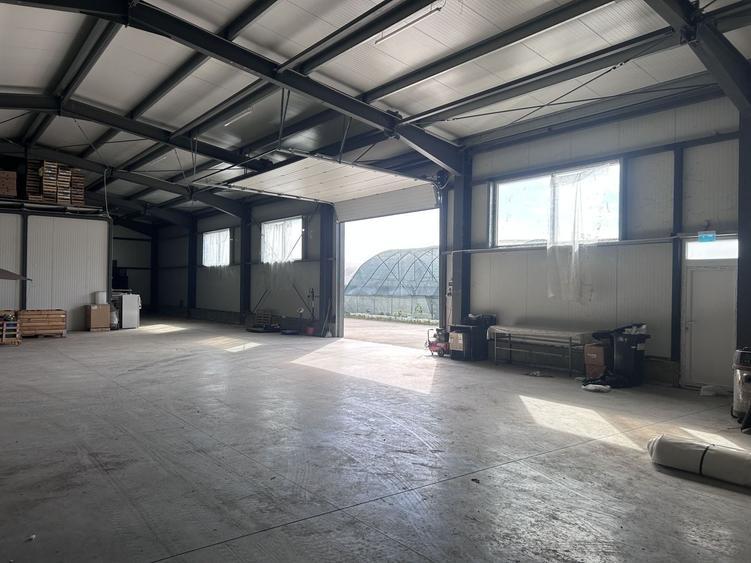 Spațiu industrial, de 7,000 mp, în Micălaca
