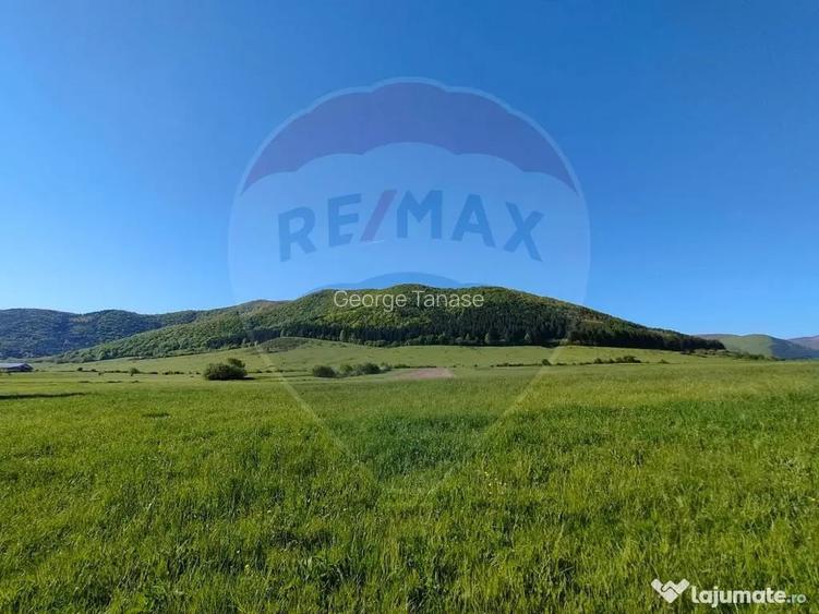 Teren de poveste in Gura Raului, zona Stejeret - Gura Raului (Sibiu)