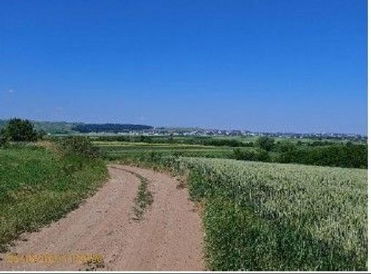 Teren extravilan Bosanci, ID: R2649419 - 2