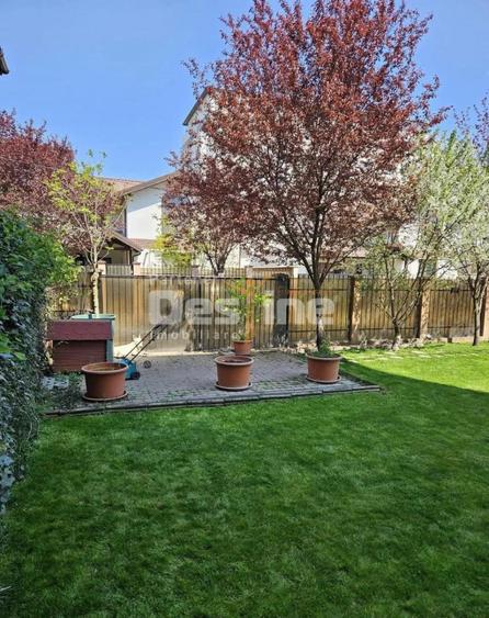 Casa individuala 4 camere | Chiajna | Curte generoasa si ter - 4