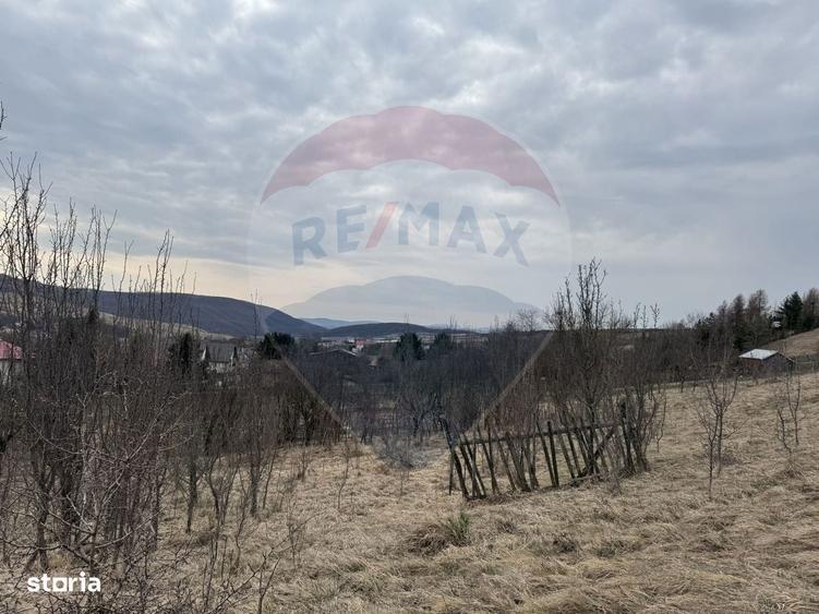 Teren intravilan 2307 mp in Salicea, zona premium, aproape de Cluj - 10