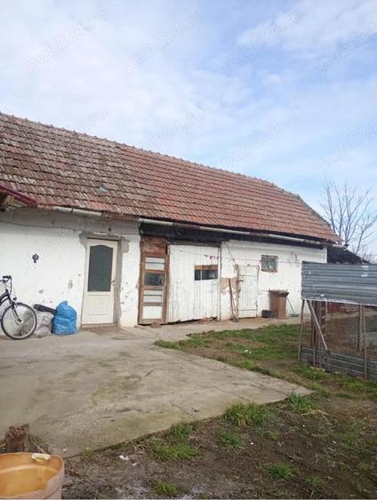 Vand casa in Lenauheim - 2