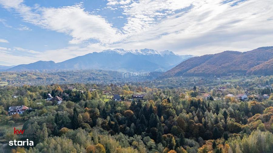 Teren intravilan in Zarne?ti, zona Tohanita, cu padurice ?i parau curg - 5